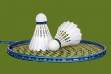 Badminton lopar